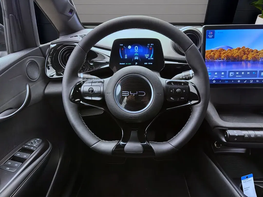 BYD Dolphin Comfort - Thumbnail 11