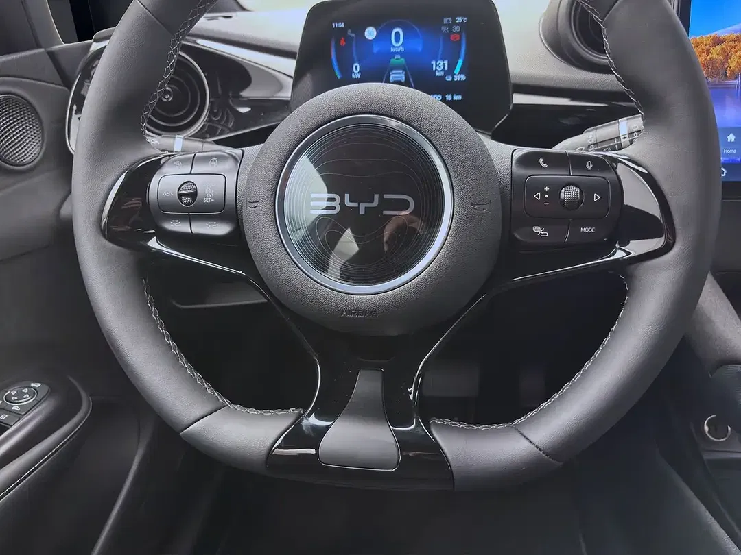 BYD Dolphin Comfort - Thumbnail 12