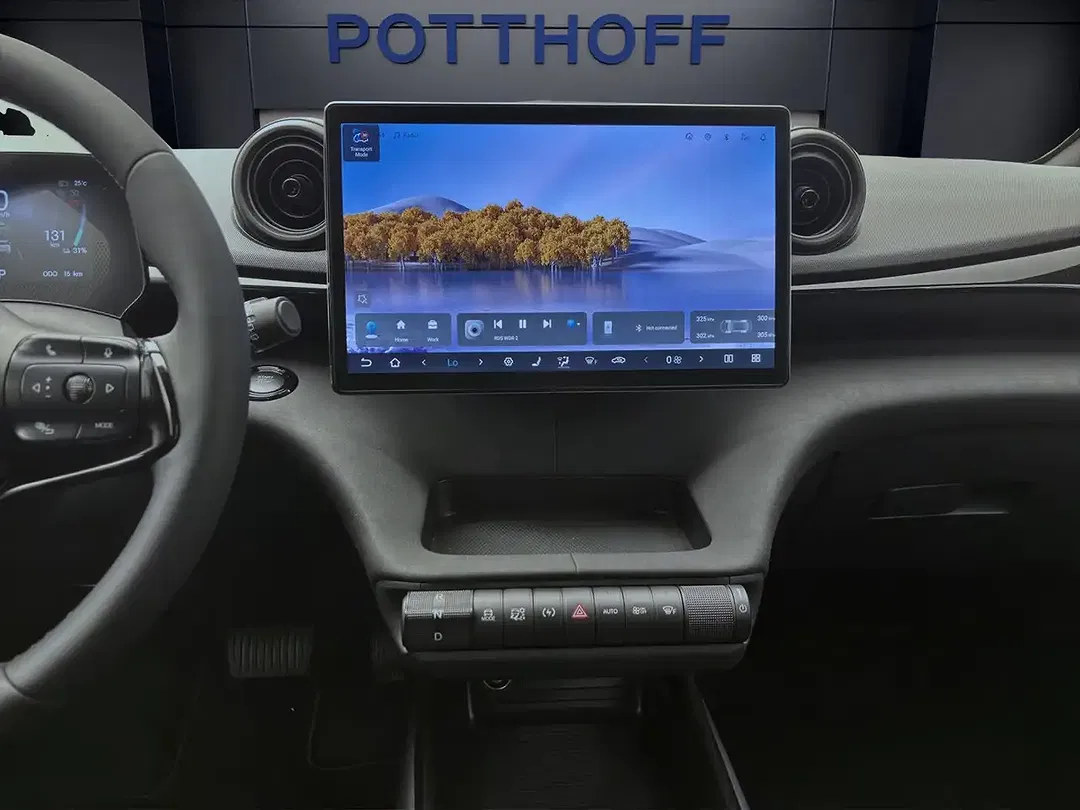 BYD Dolphin Comfort - Thumbnail 13