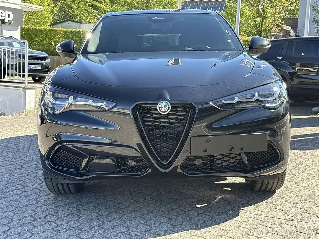 Alfa Romeo Stelvio 2.2 16V Q4 Intensa - Thumbnail 12