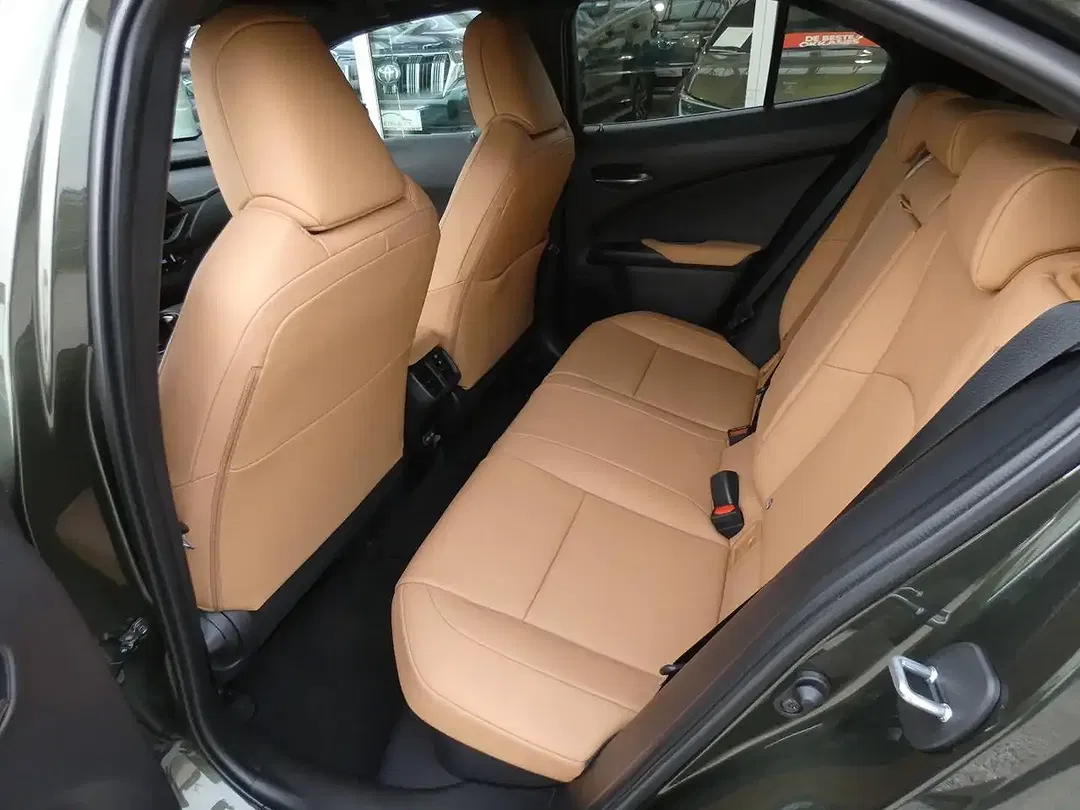 Lexus UX 250h Hybrid F SPORT Design - foto 15