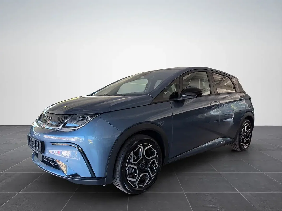 BYD Dolphin Design - Afbeelding 1