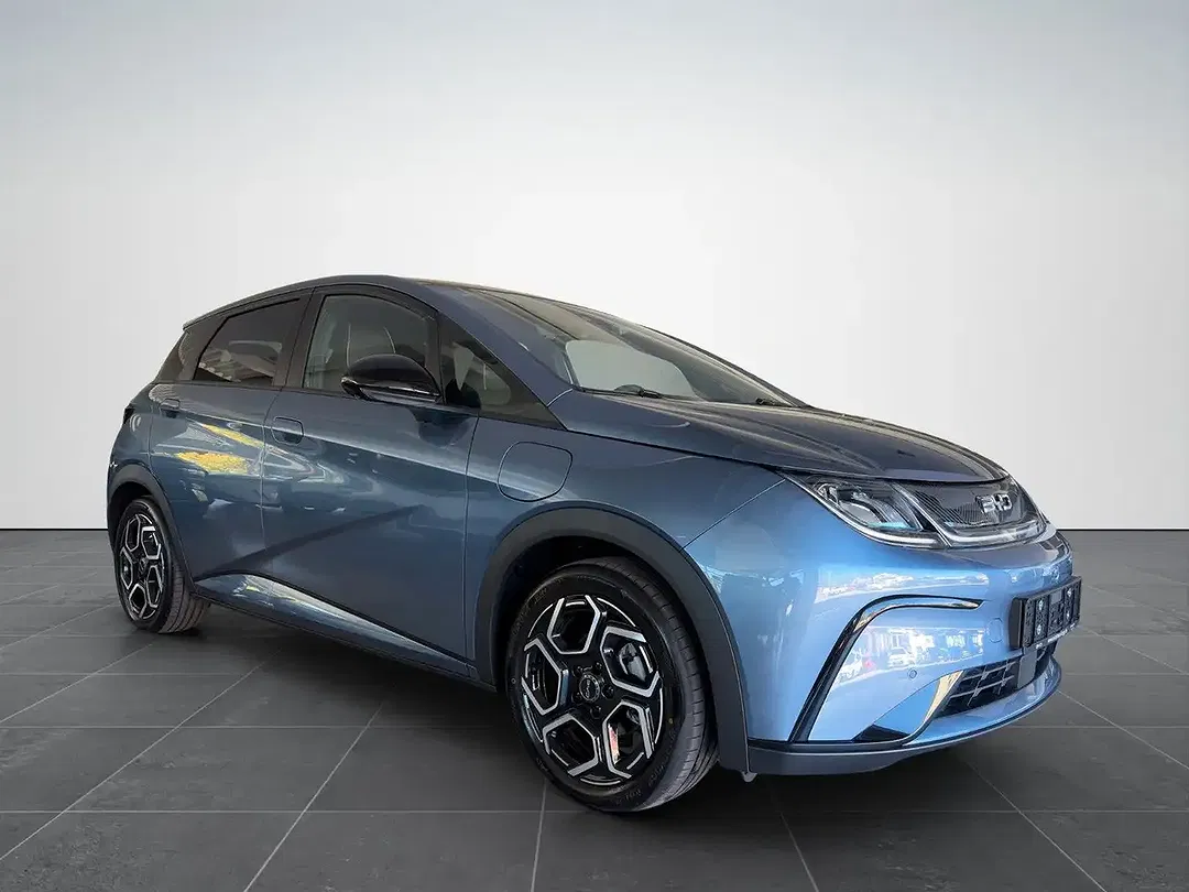 BYD Dolphin Design - foto 2