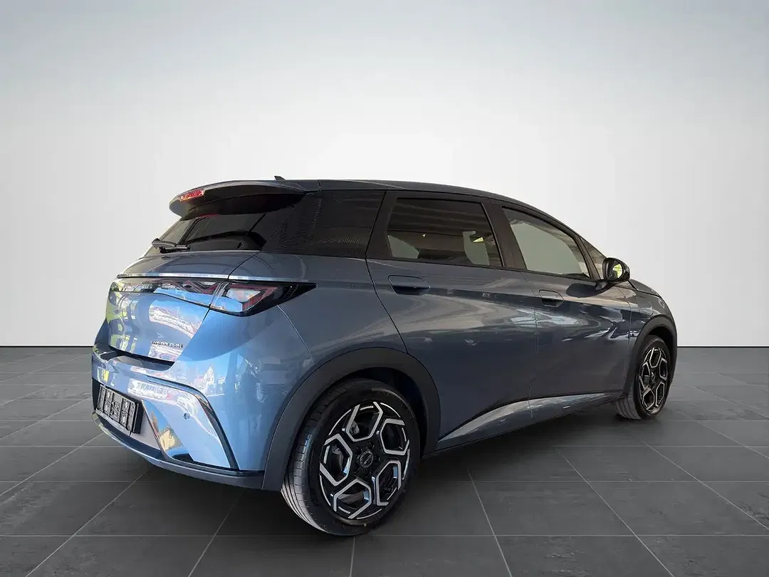 BYD Dolphin Design - Thumbnail 3