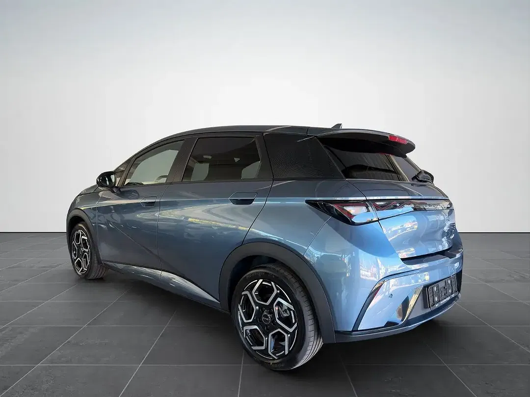 BYD Dolphin Design - Thumbnail 5