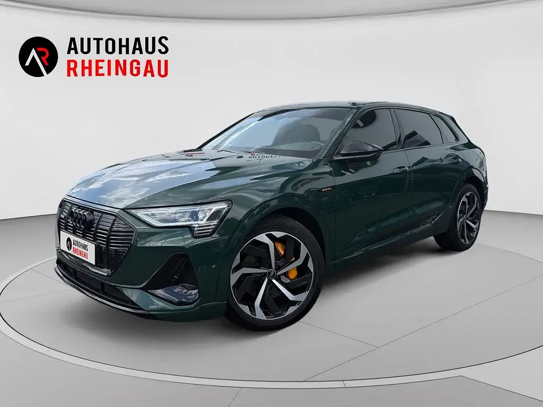 Audi Q8 e-tron 50 quattro S line - foto 1