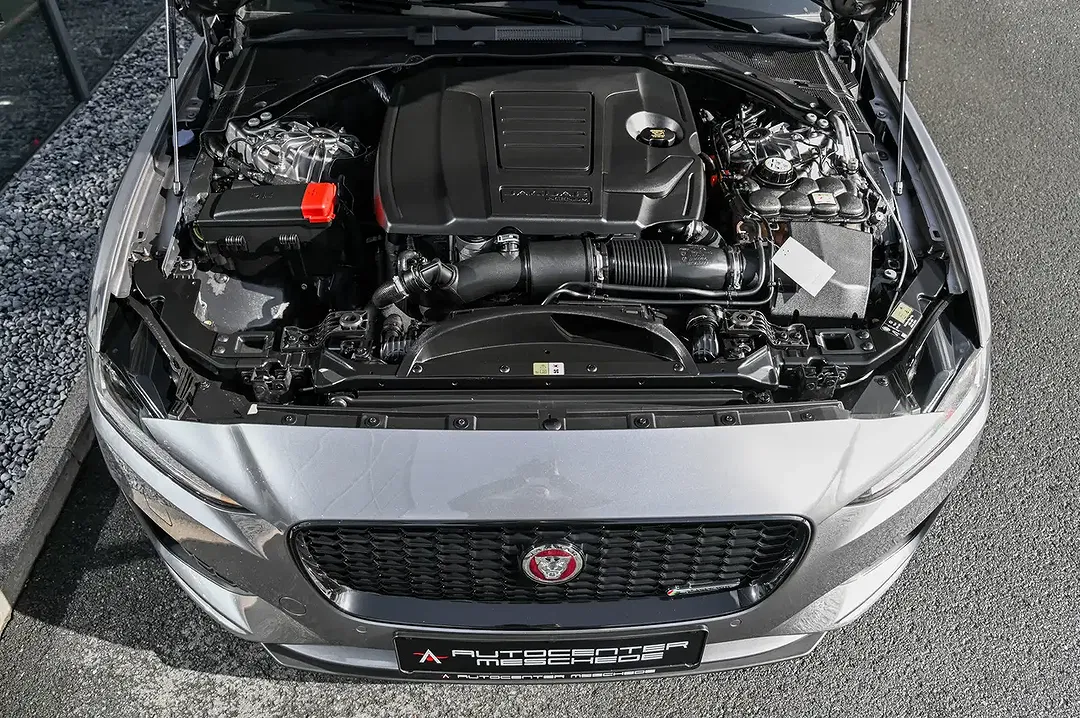 Jaguar XE P250 Edition R-Dynamic Black - Thumbnail 7