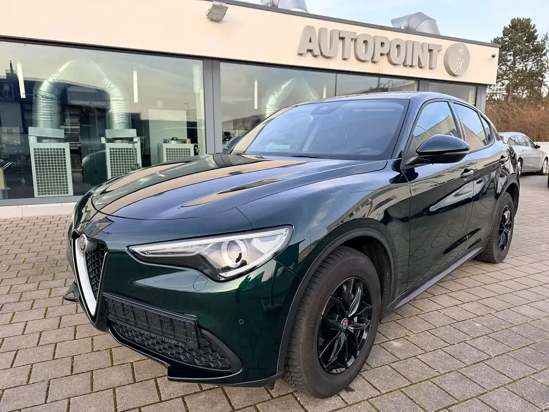 Alfa Romeo Stelvio Q4 Business - foto 2