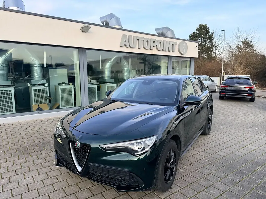 Alfa Romeo Stelvio Q4 Business - Thumbnail 9