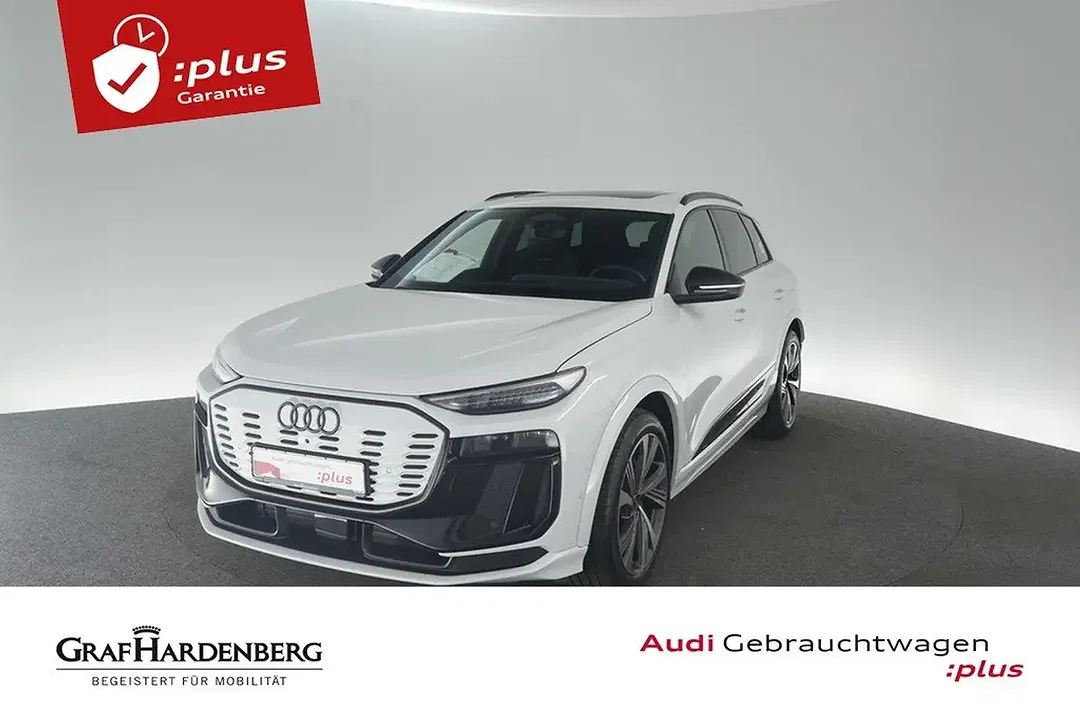 Audi SQ6 e-tron Matrix LED S line - Afbeelding 1