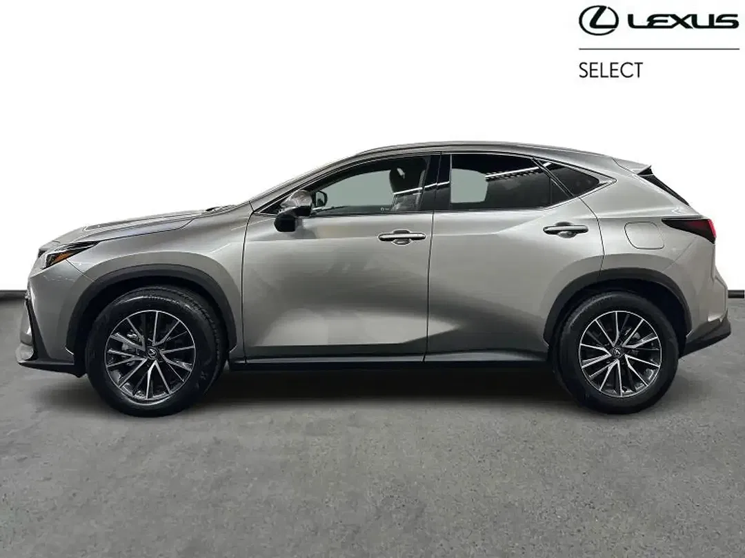 Lexus NX 350h Executive Line - Thumbnail 3