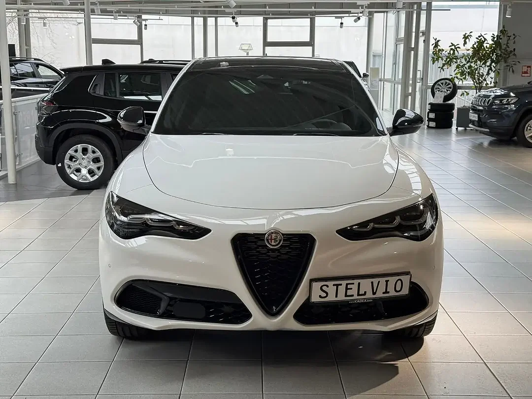 Alfa Romeo Stelvio 2.0 16V Turbo - Afbeelding 1