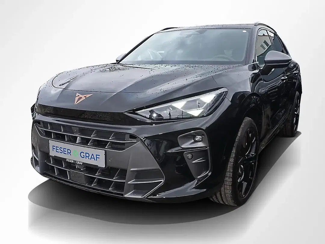 CUPRA Terramar 2.0 TSI DSG 4Drive VZ Matrix LED - Thumbnail 15