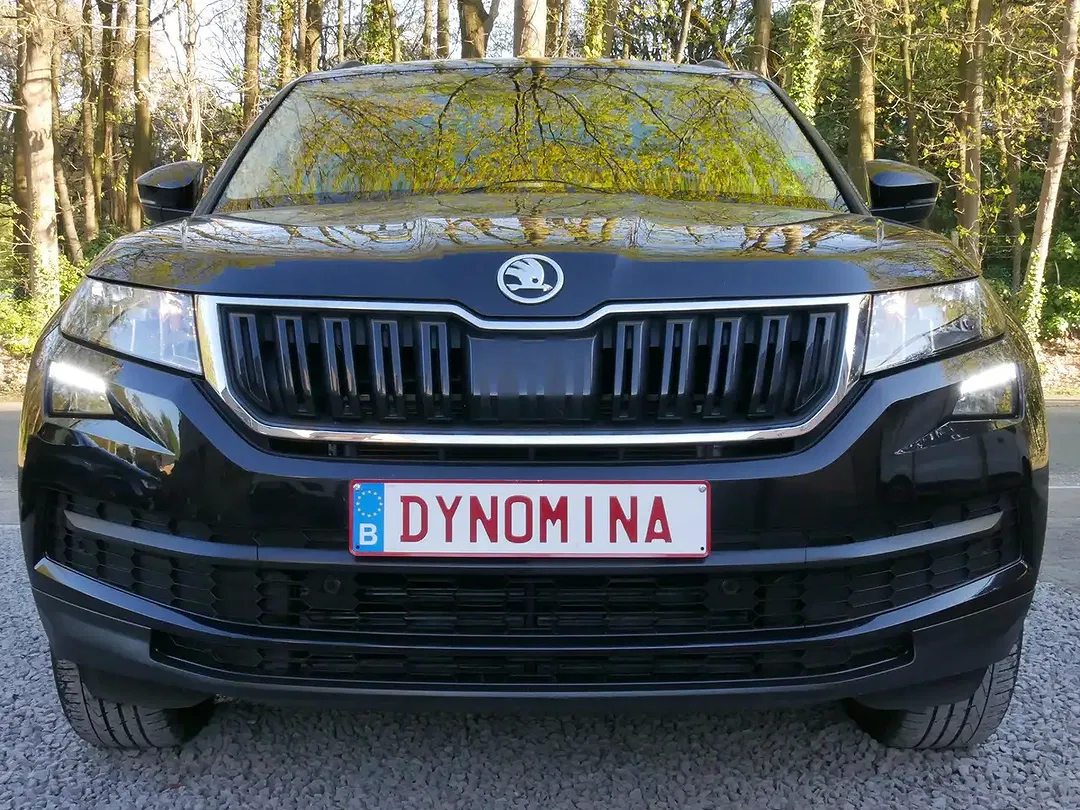 Skoda Kodiaq 1.5 TSI DSG - foto 2