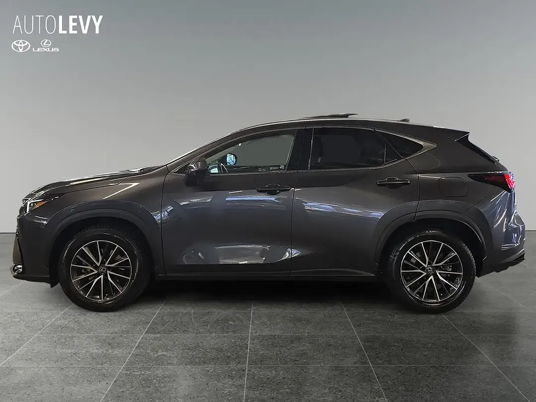 Lexus NX 350h Executive Line - Thumbnail 3