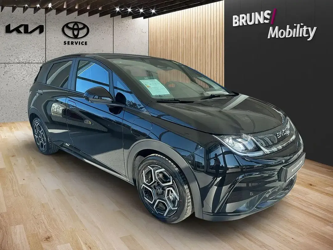BYD Dolphin Design - Thumbnail 3
