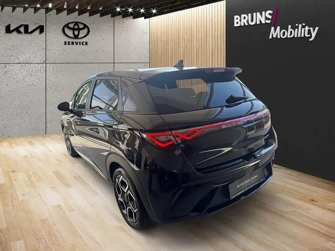BYD Dolphin Design - Thumbnail 5