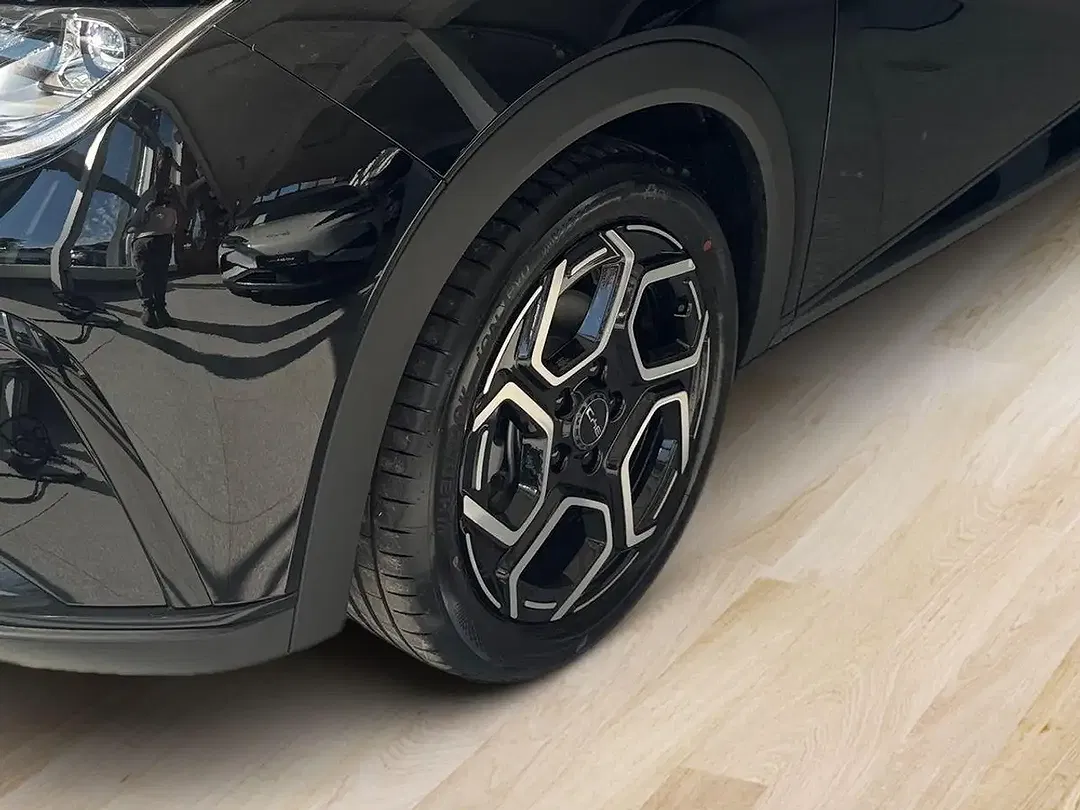 BYD Dolphin Design - Thumbnail 7