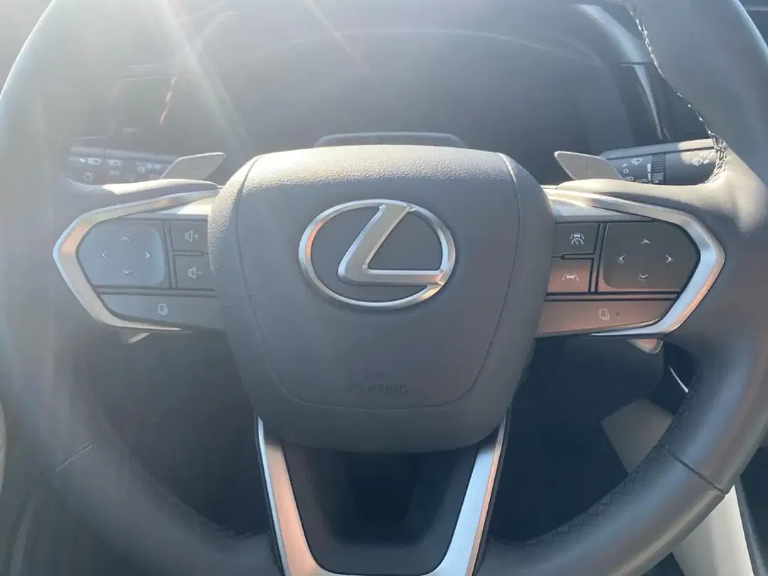 Lexus RZ 4x4 Luxury - Thumbnail 14