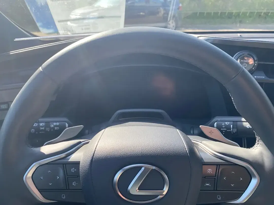 Lexus RZ 4x4 Luxury - foto 15