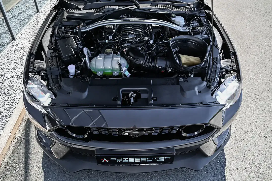 Ford Mustang 5.0 - Thumbnail 7