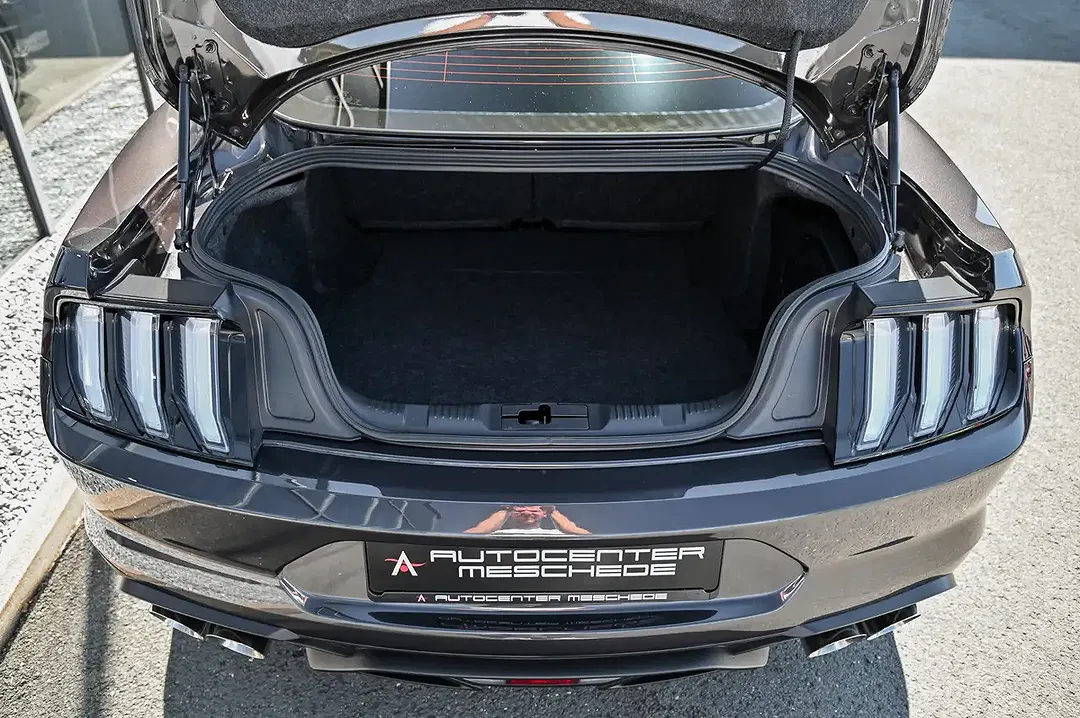 Ford Mustang 5.0 - Thumbnail 8