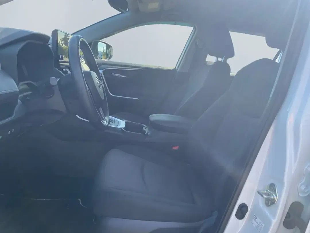 Toyota RAV 4 Hybrid Team Deutschland - Thumbnail 7