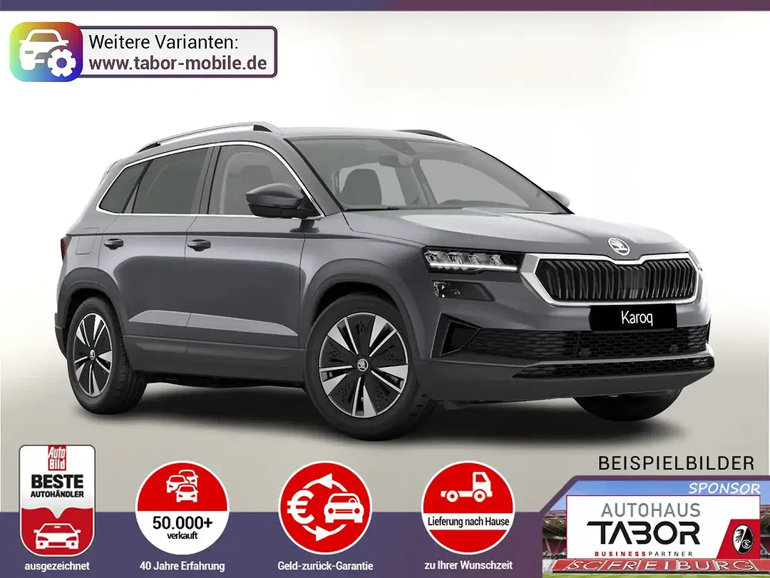 Skoda Karoq DSG - foto 1