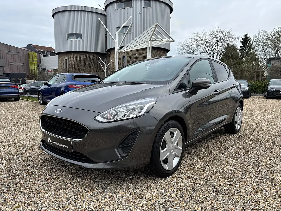 Ford Fiesta 1.0 EcoBoost - Afbeelding 1