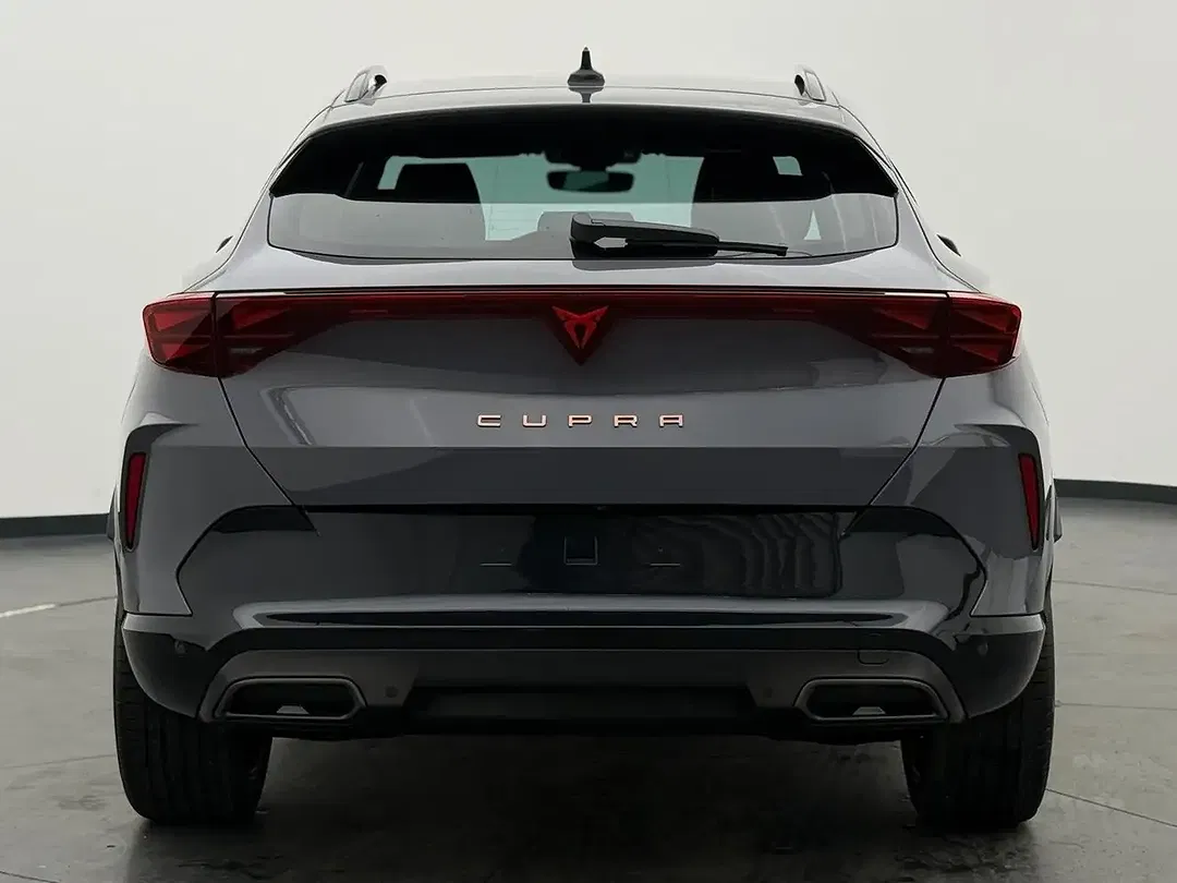 CUPRA Formentor 2.0 TSI 4Drive Matrix LED - Thumbnail 9