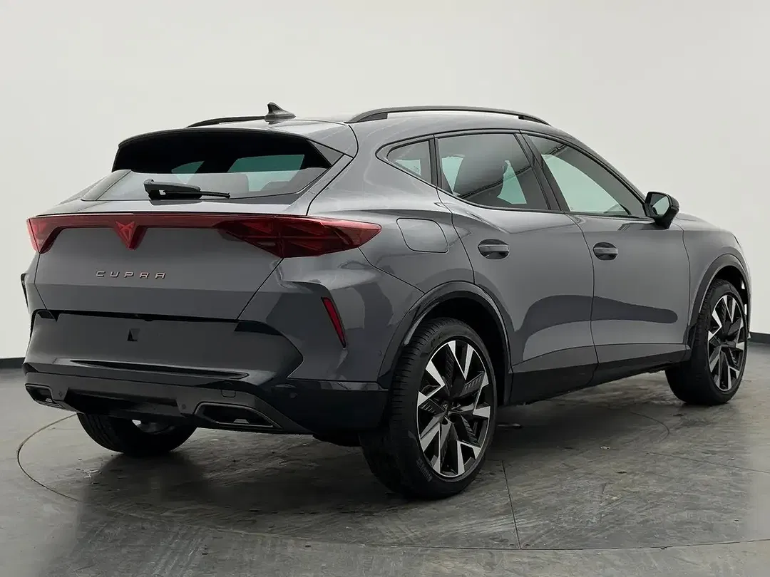 CUPRA Formentor 2.0 TSI 4Drive Matrix LED - Thumbnail 10