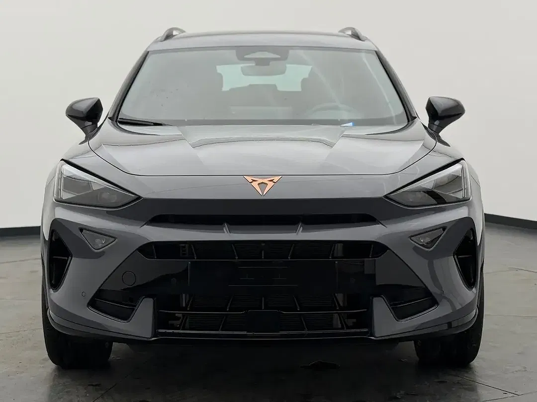 CUPRA Formentor 2.0 TSI 4Drive Matrix LED - Thumbnail 2