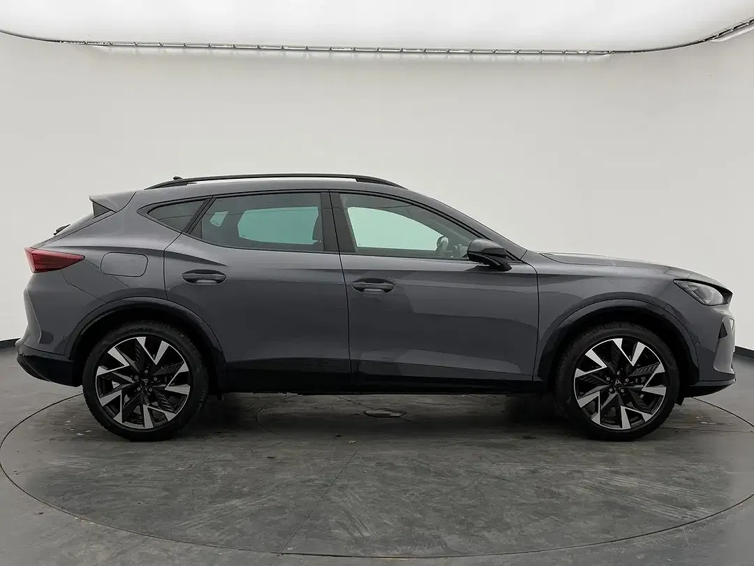 CUPRA Formentor 2.0 TSI 4Drive Matrix LED - Thumbnail 6