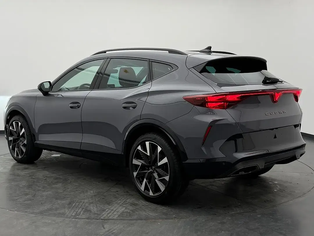 CUPRA Formentor 2.0 TSI 4Drive Matrix LED - Thumbnail 7