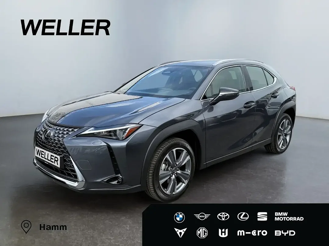 Lexus UX 300e Luxury Line - Afbeelding 1