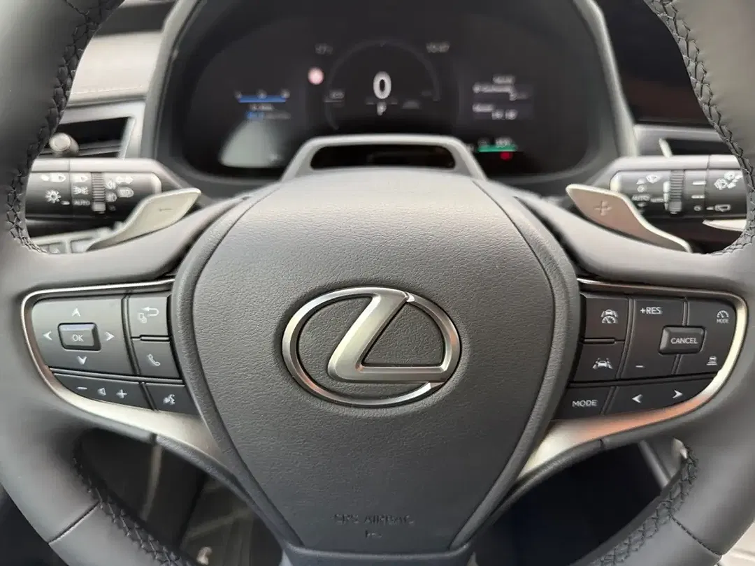 Lexus UX 300e Luxury Line - Thumbnail 11