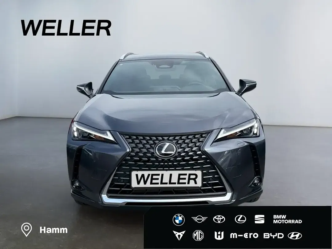 Lexus UX 300e Luxury Line - foto 2