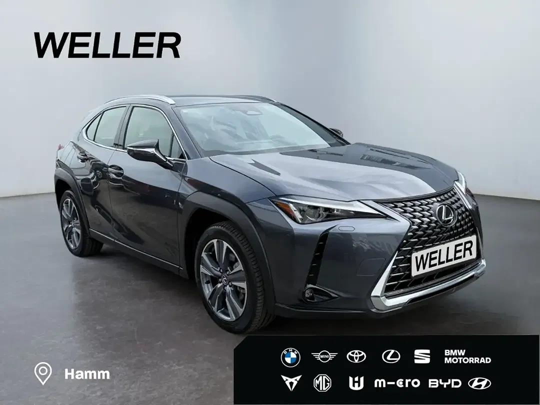 Lexus UX 300e Luxury Line - Thumbnail 3