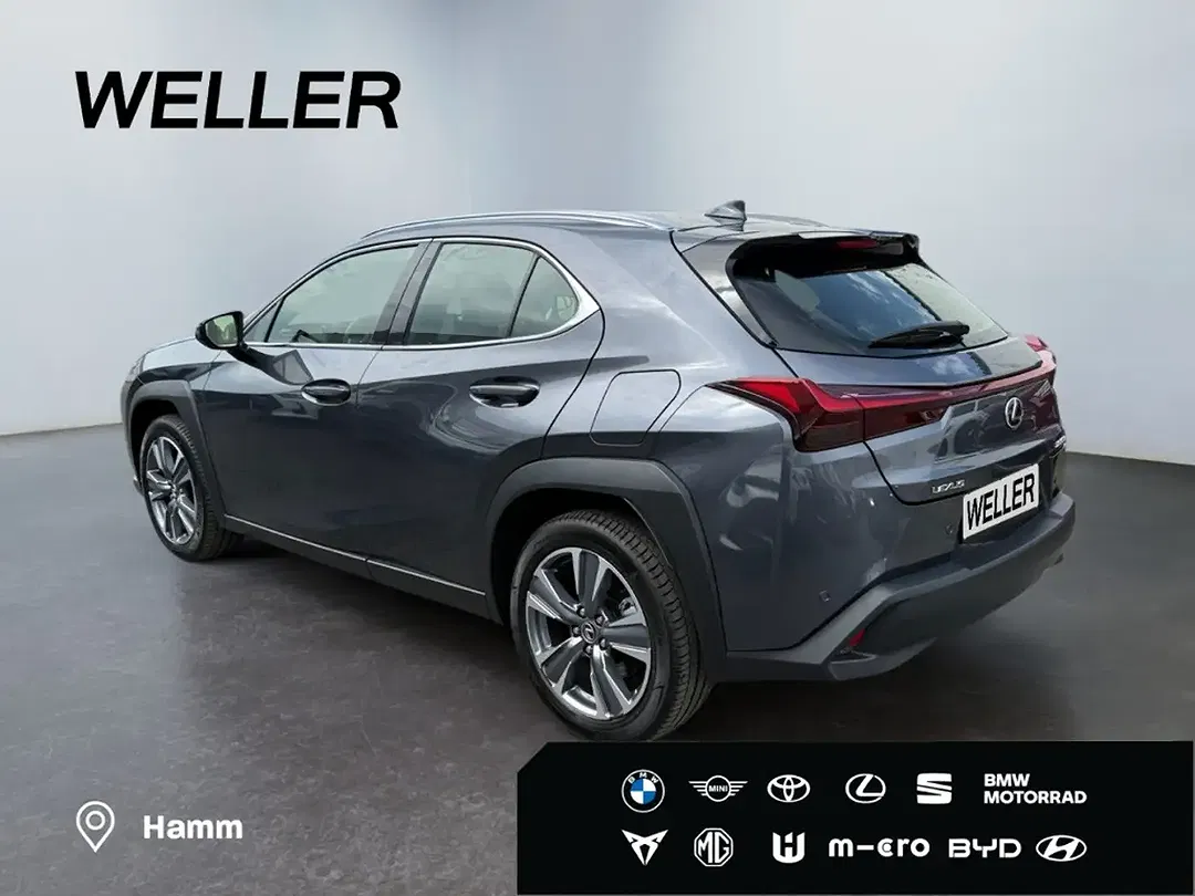Lexus UX 300e Luxury Line - Thumbnail 6