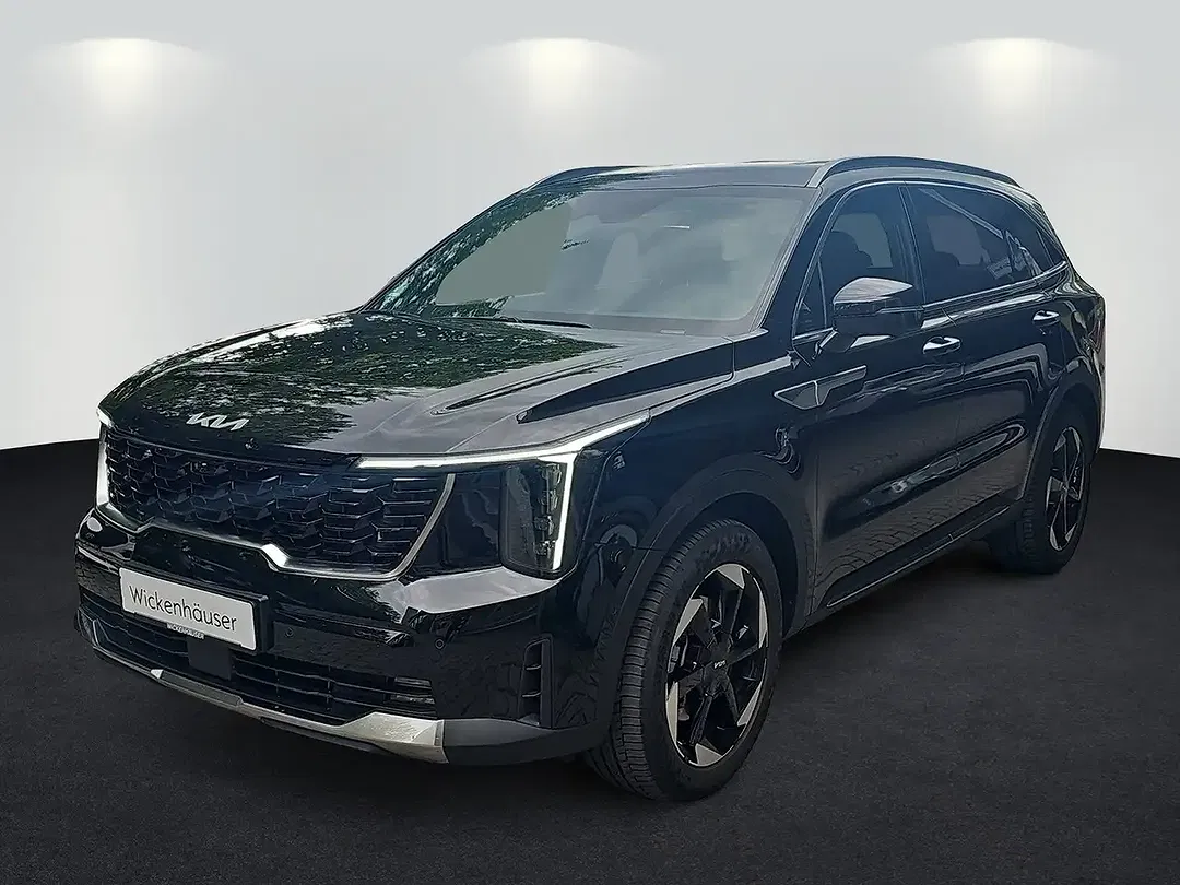 Kia Sorento 1.6 T-GDI Platinum - foto 1
