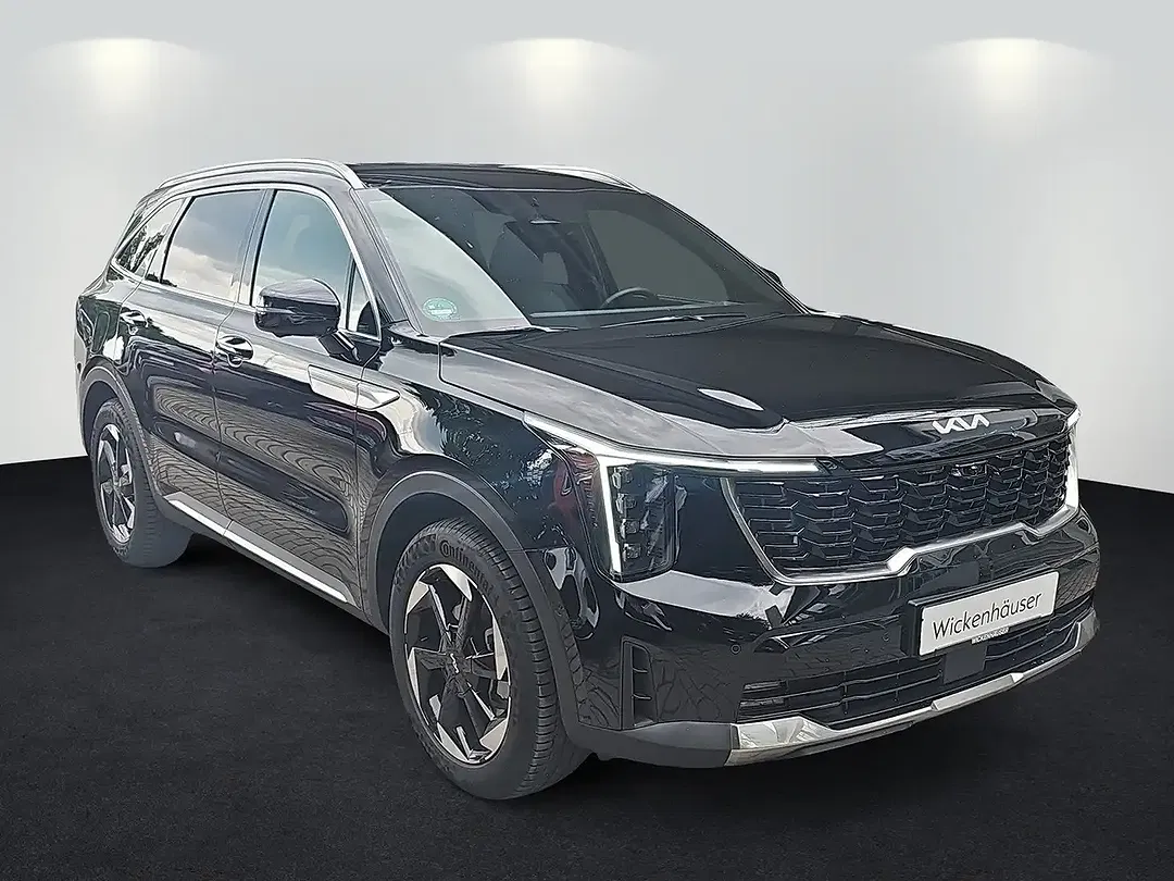 Kia Sorento 1.6 T-GDI Platinum - foto 2