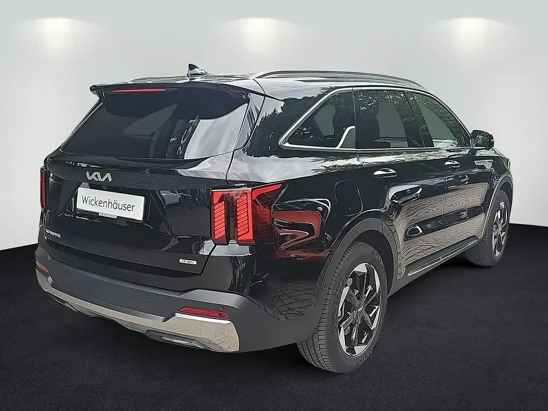 Kia Sorento 1.6 T-GDI Platinum - Thumbnail 3
