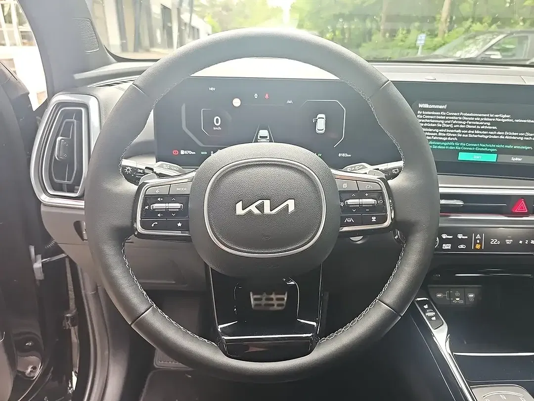 Kia Sorento 1.6 T-GDI Platinum - Thumbnail 6