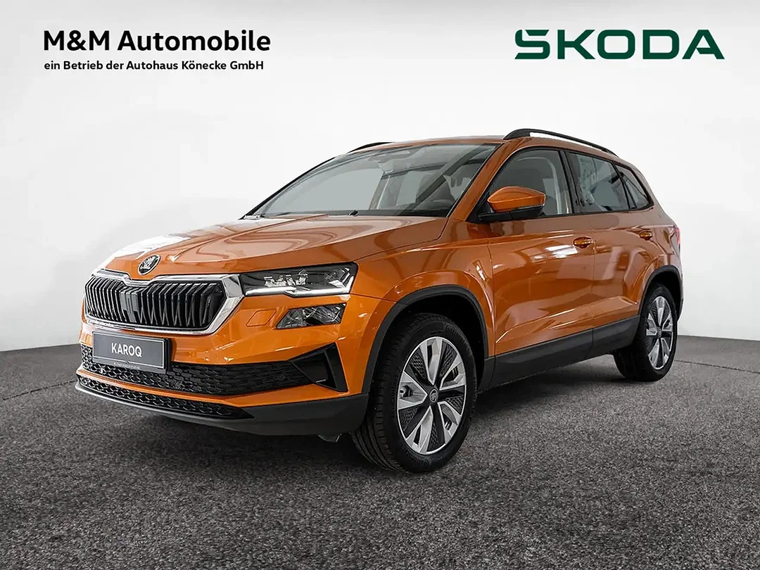 Skoda Karoq 2.0 TDI 4x4 - Afbeelding 1