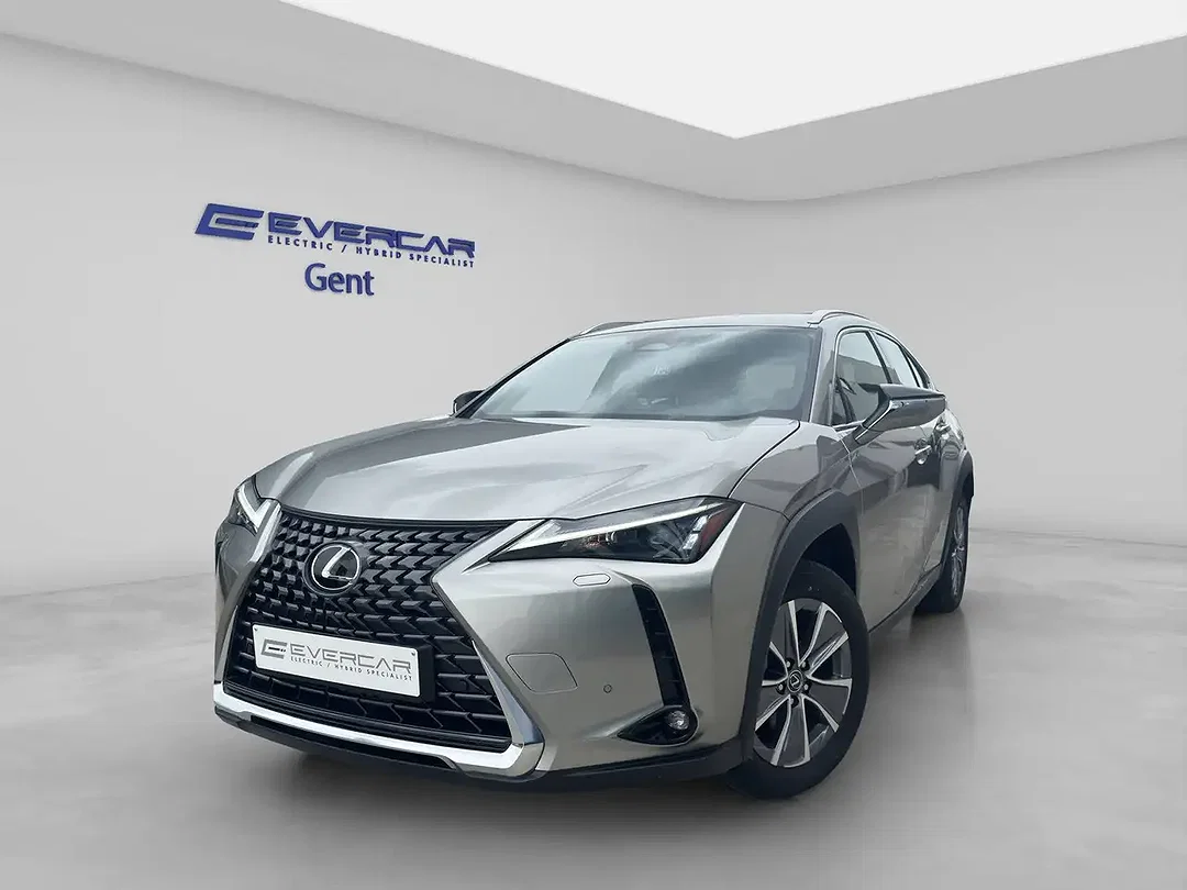Lexus UX 300e - Afbeelding 1
