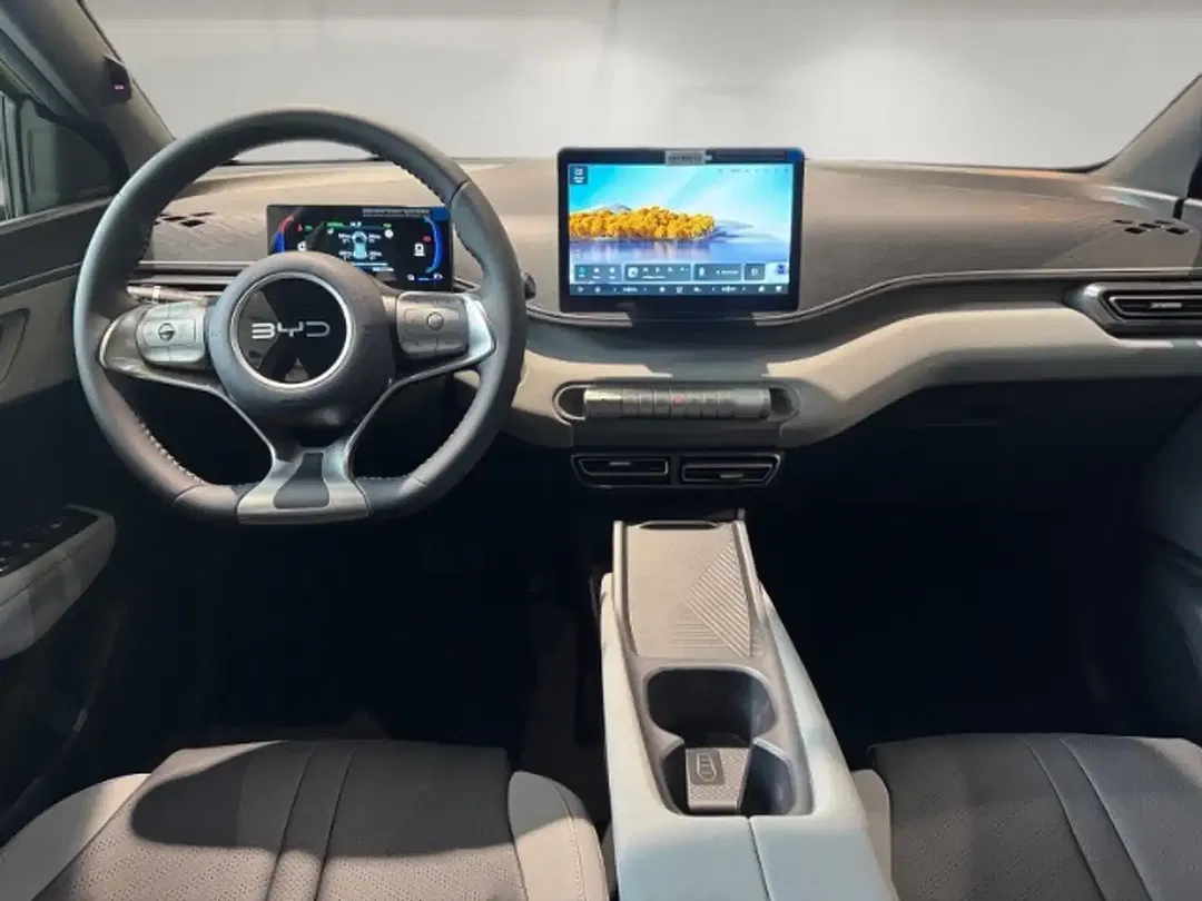 BYD Dolphin 43.2 kWh Boost - Thumbnail 9