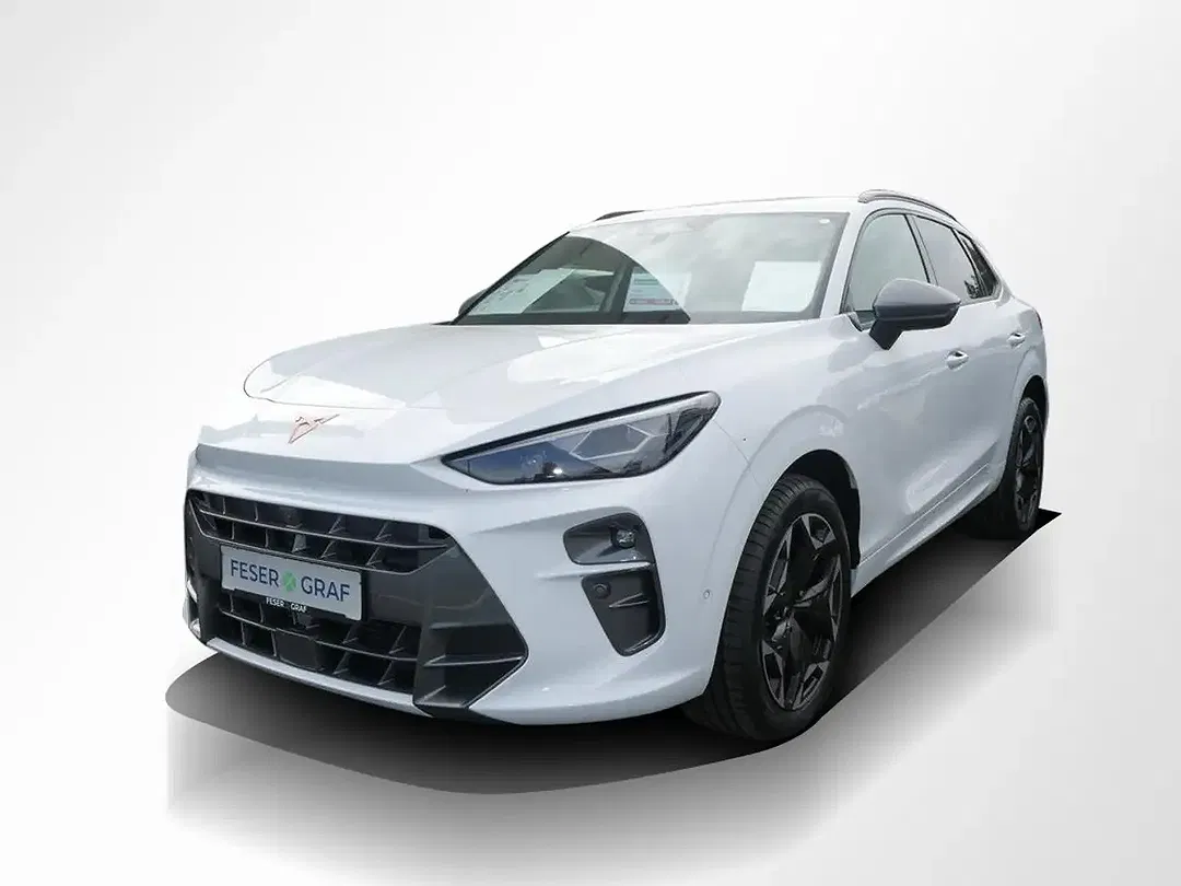 CUPRA Terramar 2.0 TSI DSG 4Drive VZ Matrix LED - Thumbnail 13