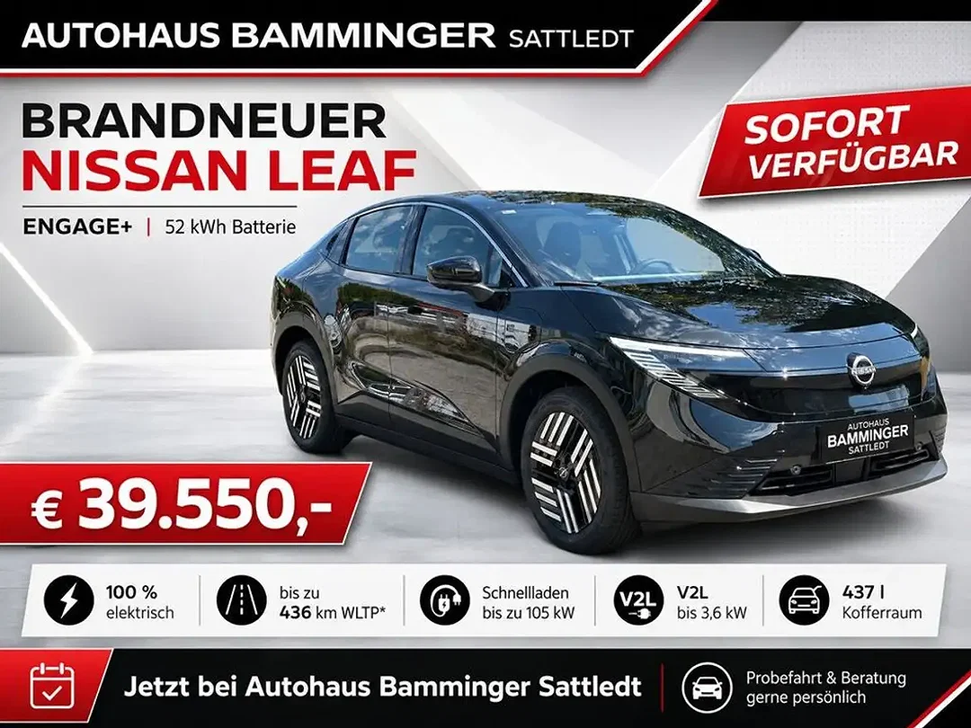 Nissan Leaf - Afbeelding 1