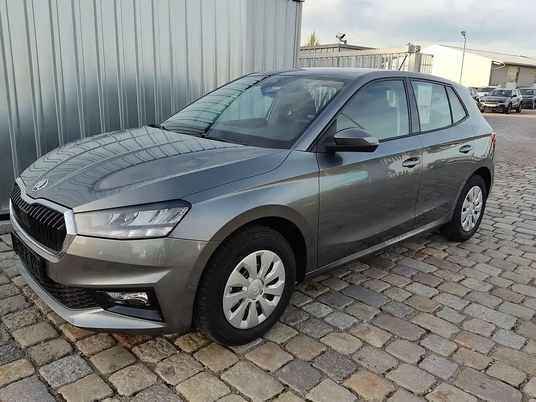 Skoda Fabia 1.0 TSI DSG Selection - Afbeelding 1