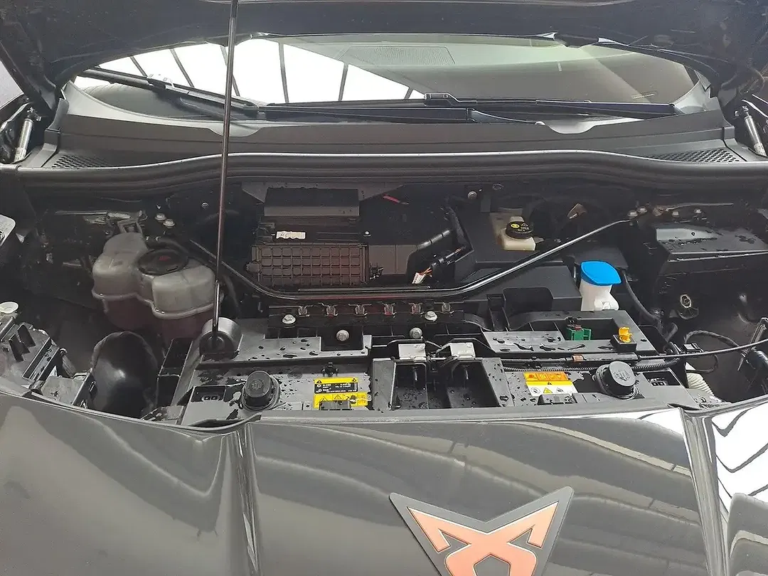 CUPRA Tavascan Endurance - foto 14